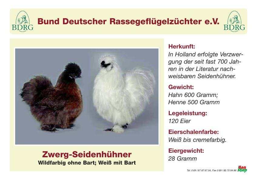 Zwerg-Seidenhühner